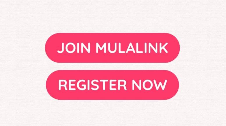 MulaLink